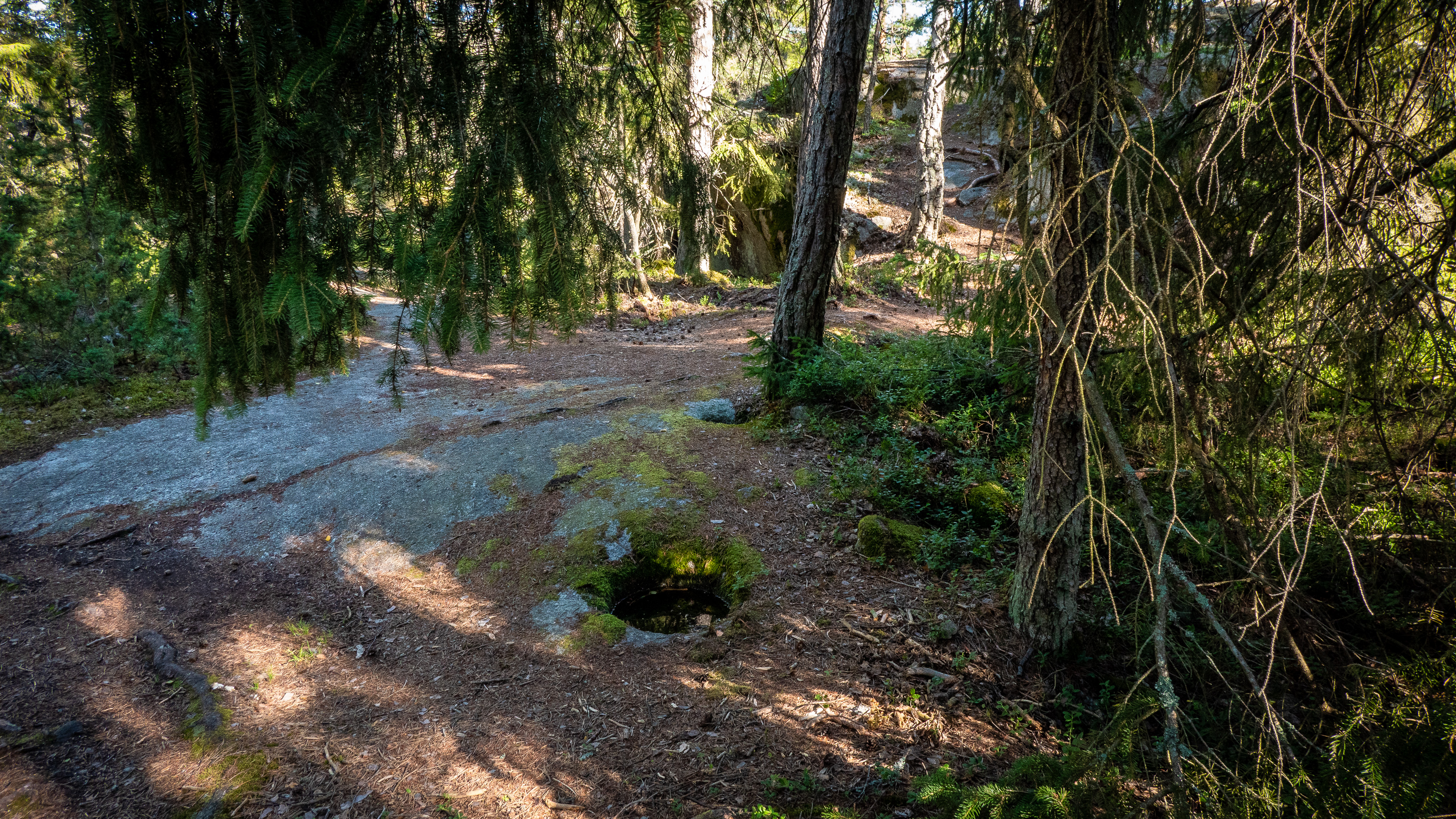 Liten jättegryta